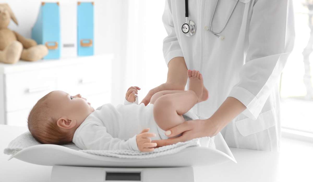 High Calorie Baby Formula